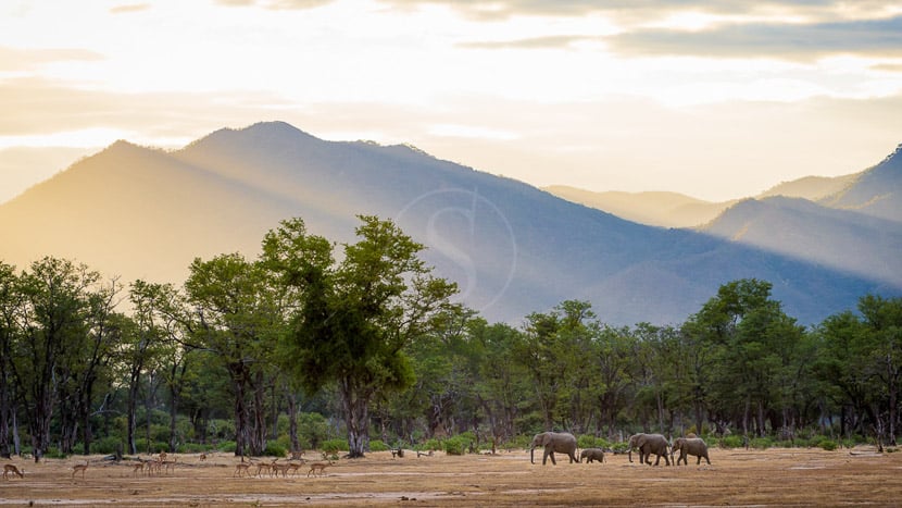 Ruckomechi Camp, Zimbabwe © Dana Allen