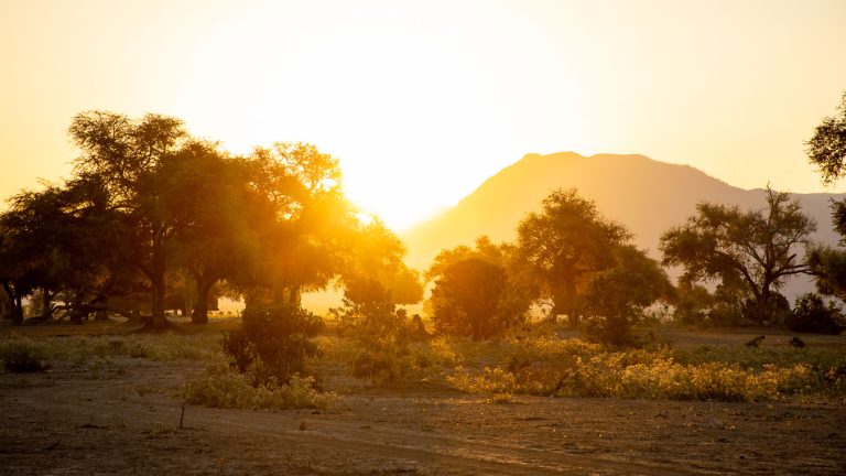La saison d&rsquo;ambre au Zimbabwe