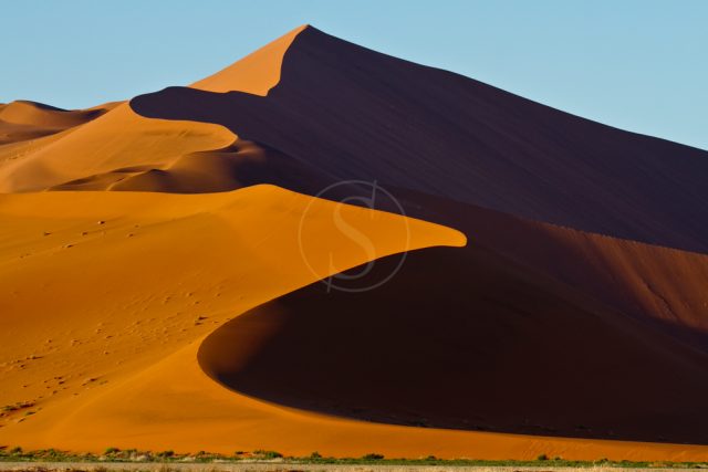 Safari en Namibie avec Etendues Sauvages © Etendues Sauvages Safari en Namibie avec Etendues Sauvages © Etendues Sauvages