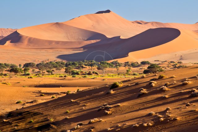 Safari en Namibie avec Etendues Sauvages © Etendues Sauvages Safari en Namibie avec Etendues Sauvages © Etendues Sauvages