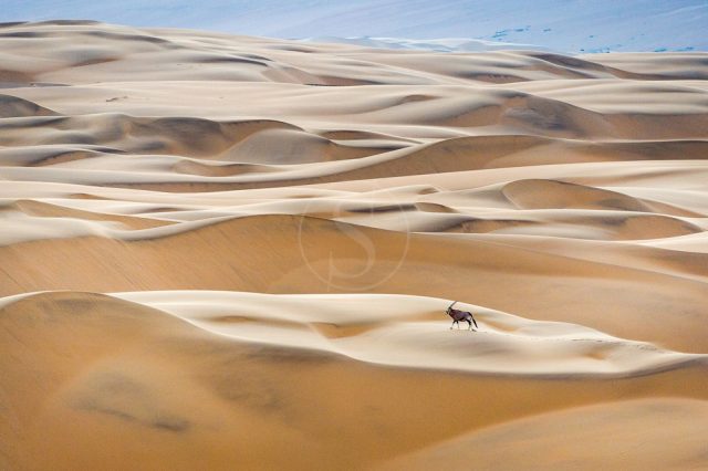 Safari en Namibie avec Etendues Sauvages © Wilderness Safaris Safari en Namibie avec Etendues Sauvages © Wilderness Safaris