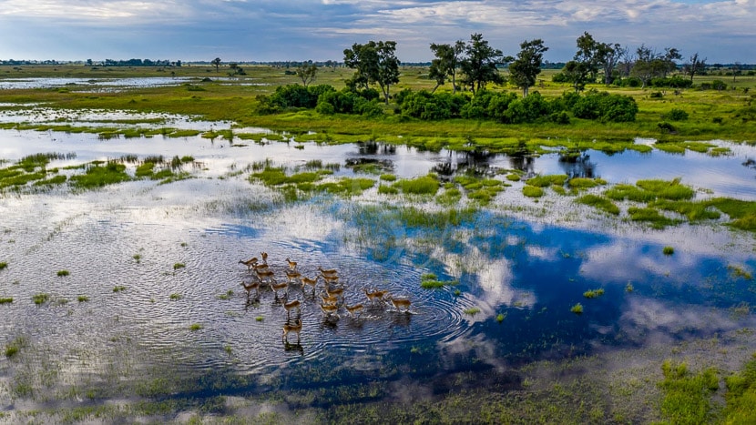 Safari itinérant au Botswana © Tous droits réservés