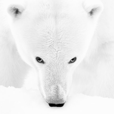 Kyriakos Kaziras © Kaziphoto.com
