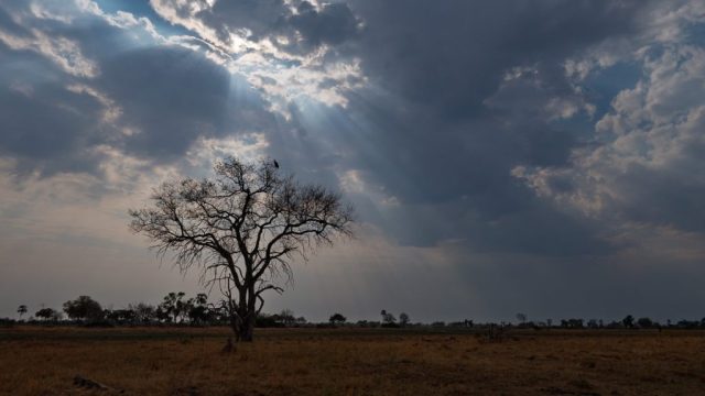 Botswana Ad Okavango 007