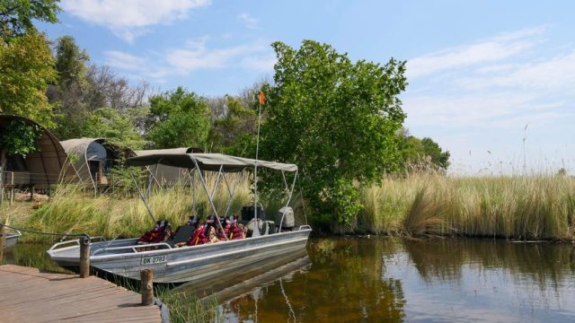 Botswana Ad Okuti Camp 005