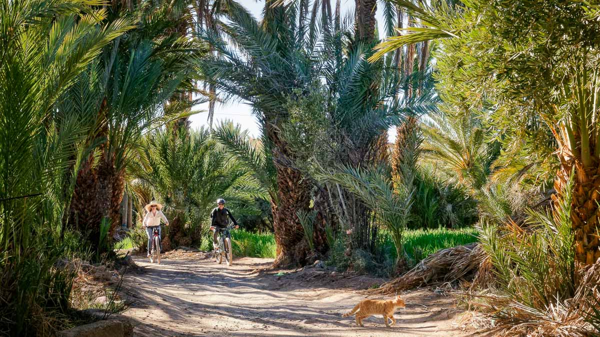 Dar Ahlam, Maroc © La Maison Des Rêves