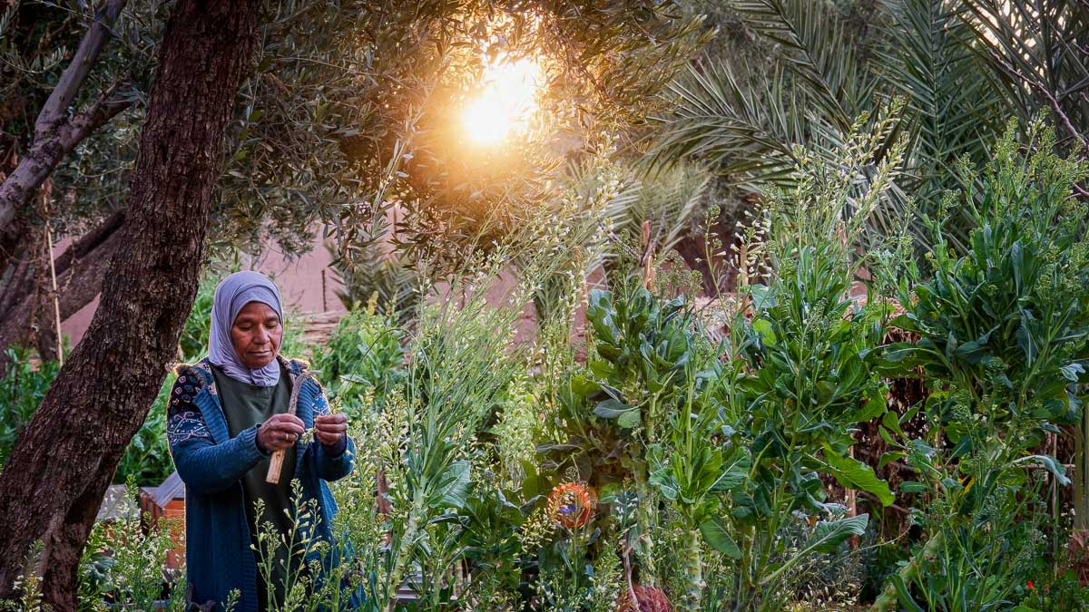 Dar Ahlam, Maroc © La Maison Des Rêves
