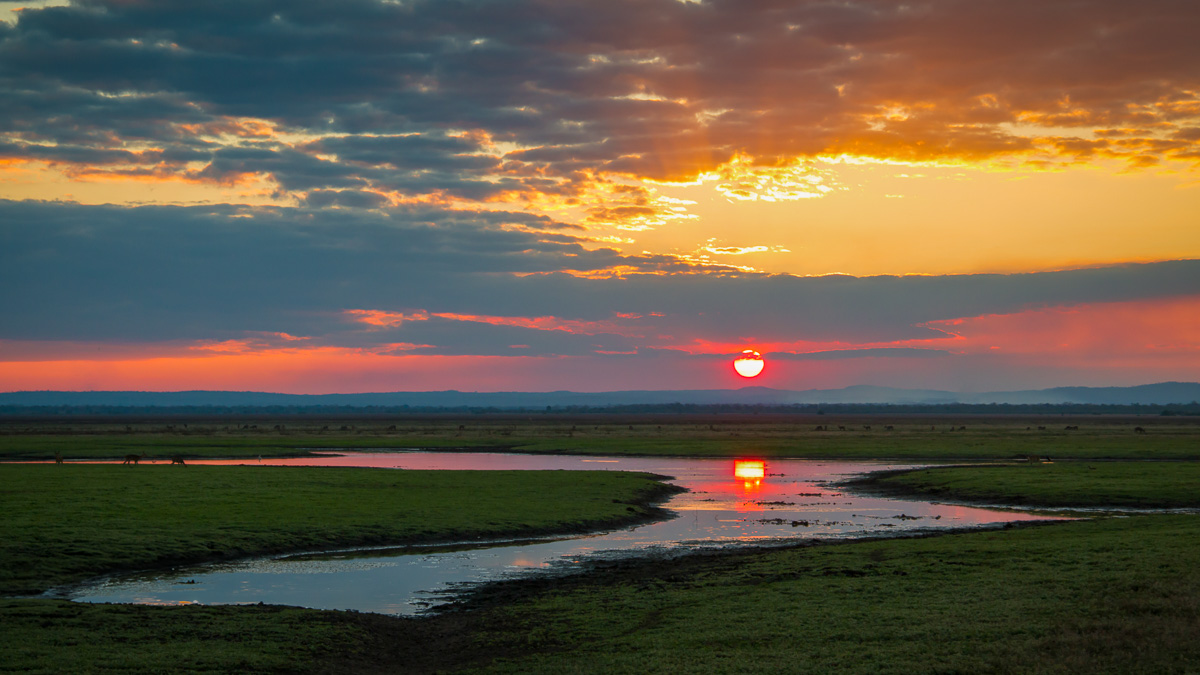 Parc De Gorongosa, Mozambique © Istock