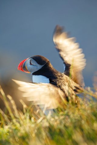 Islande © Paul Guillot Etendues Sauvages