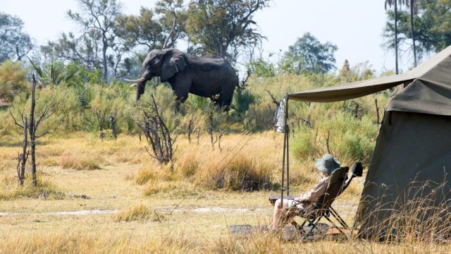 AndBeyond Explorer Safari, Botswana © &Beyond