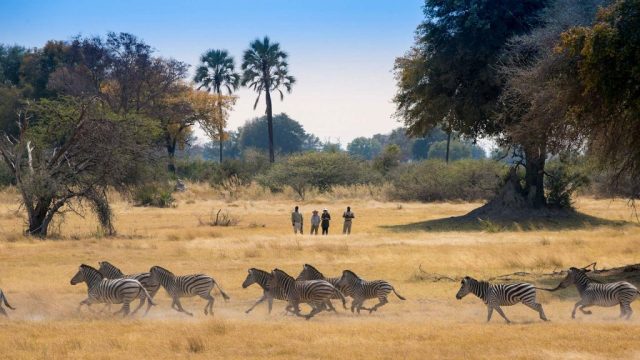 AndBeyond Explorer Safari, Botswana © AndBeyond