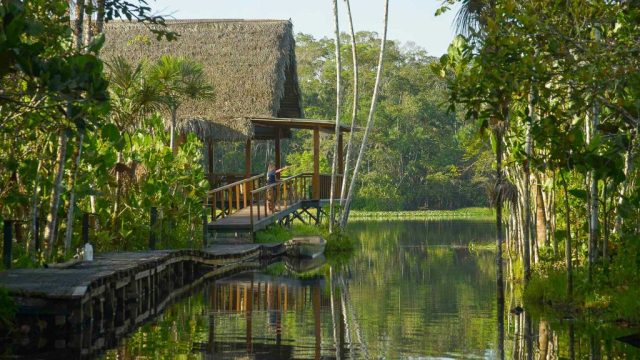 Sacha Lodge, Equateur © Sacha Lodge