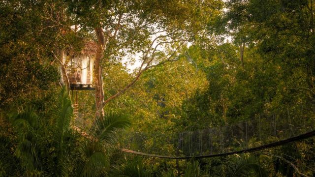 Treehouse Lodge, Pérou © Symoni Johnson