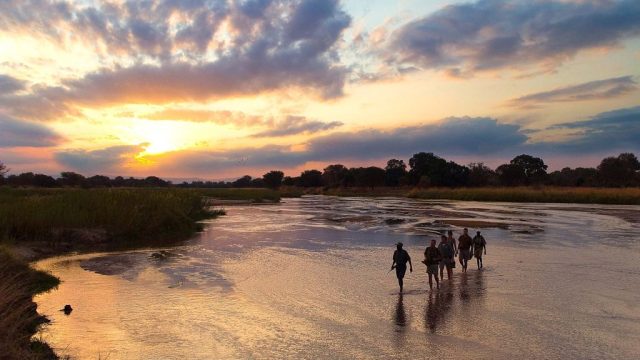 Safari à South Luangwa, Zambie © Robin Pope Safaris