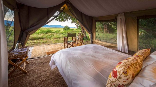 John’s Camp Mana Pools, Zimbabwe © Dana Allen, Robin Pope