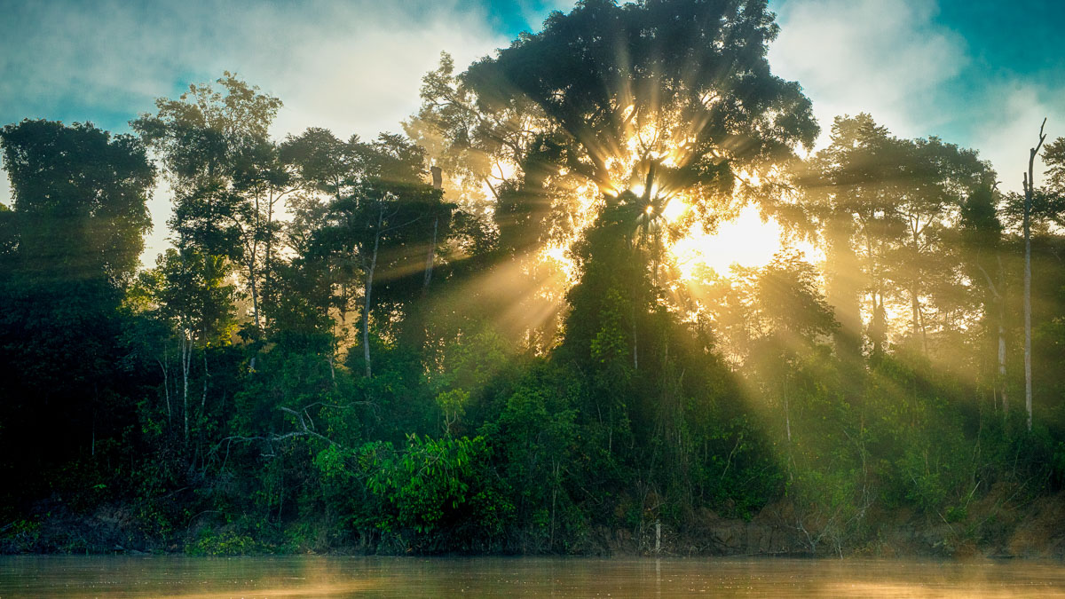 Rivière Kinabatangan, Malaisie © Shutterstock