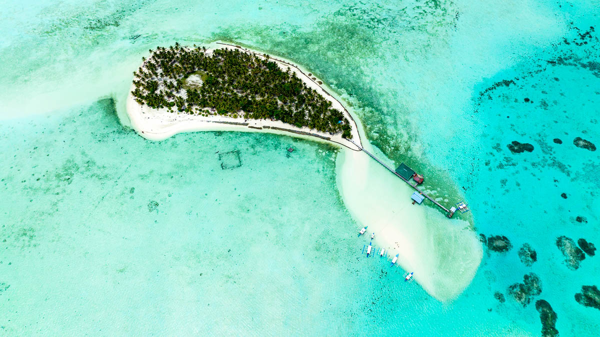 Tropical Island With A Beach.