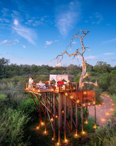 Lion Sands Chalkley Treehouse, Afrique Du Sud © More Properties