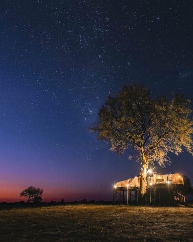 Linkwasha Camp Sleepout, Zimbabwe © Wilderness Safaris