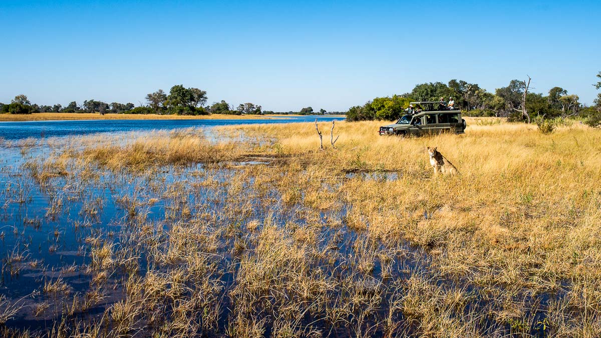 Kweene Trails, Botswana © Beagle Expeditions