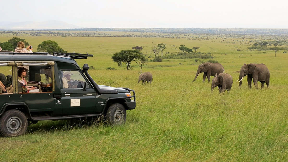 Kicheche Bush Camp, Kenya