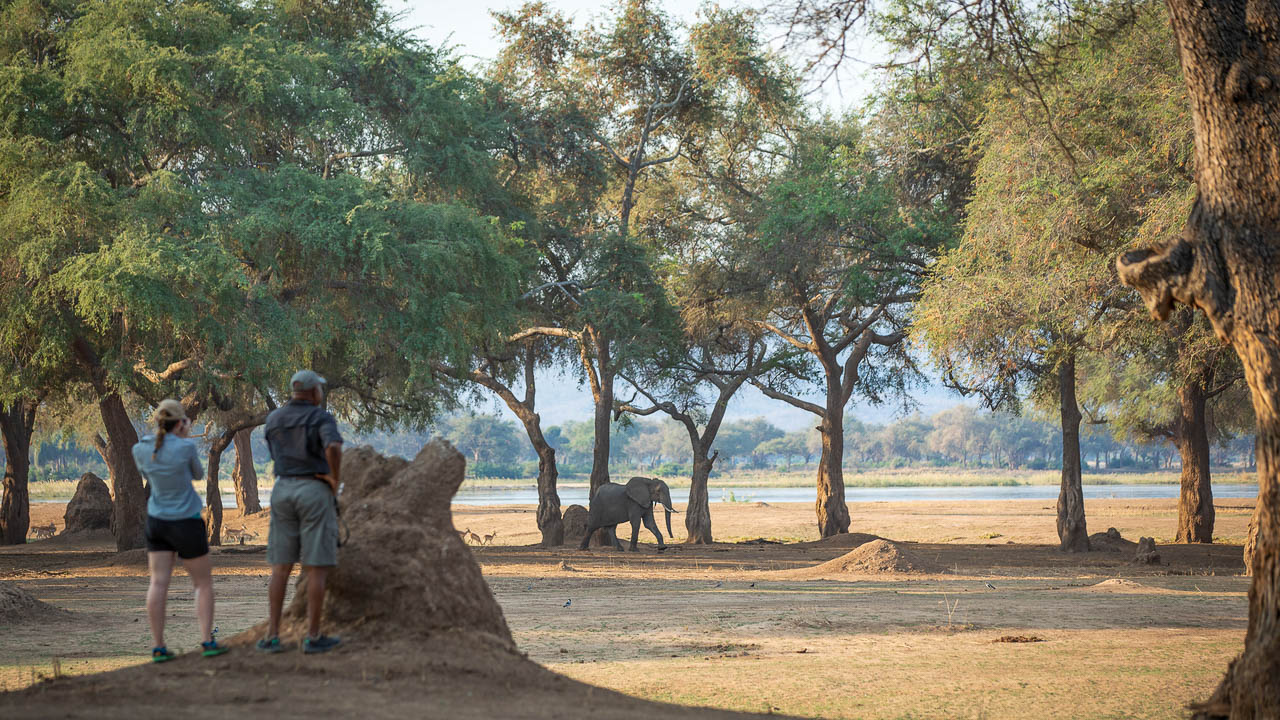 Chikwenya Camp, Zimbabwe © Wilderness Safaris