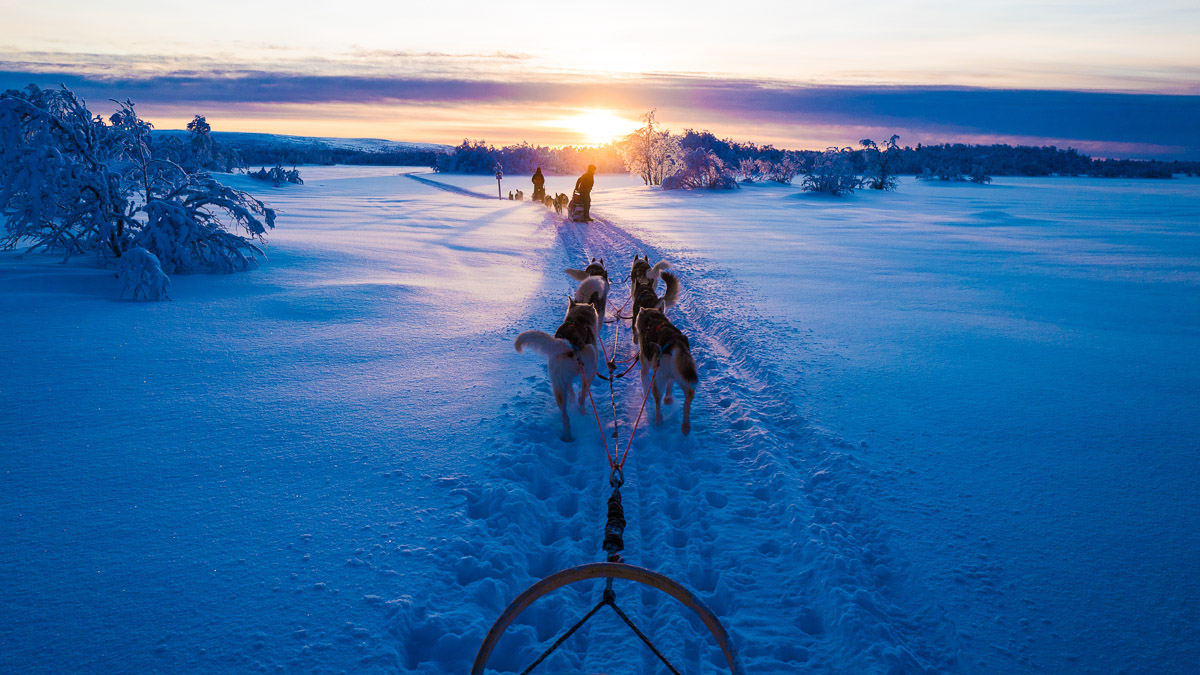 Balder Lodge, Finlande © Balder Lodge
