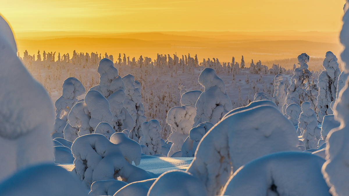 Balder Lodge, Finlande © Balder Lodge