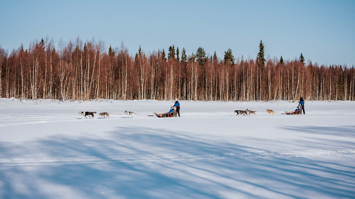 Balder Lodge, Finlande © Balder Lodge