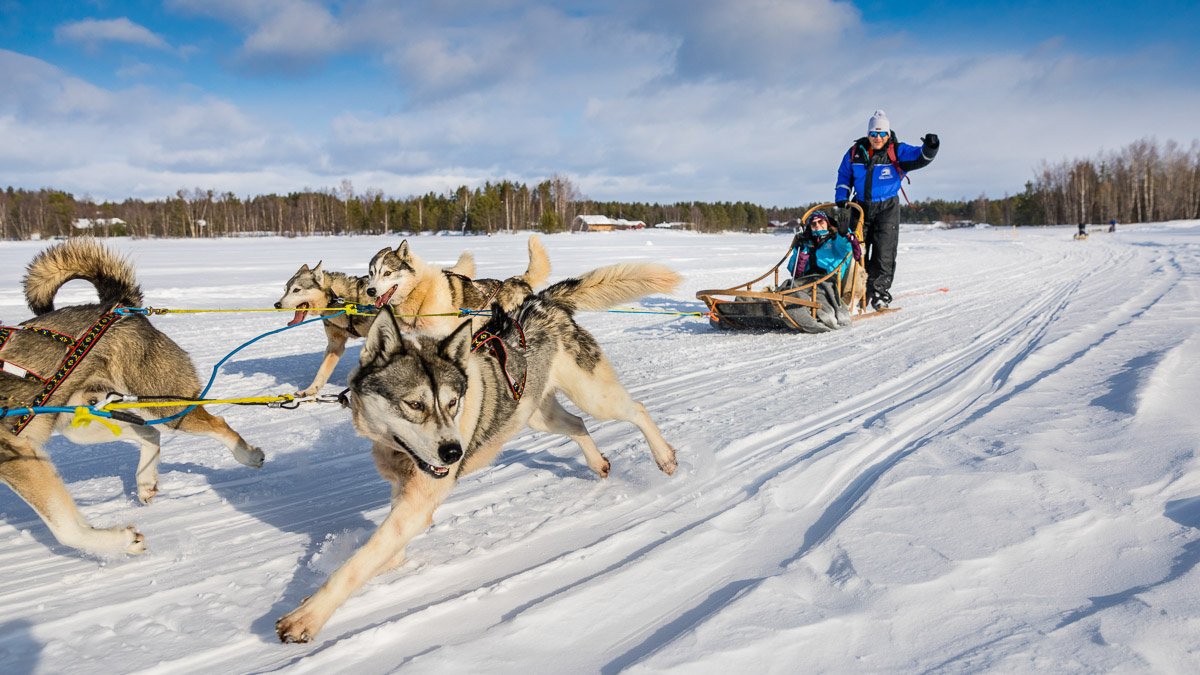 Wilderness Hôtels, Finlande © Wilderness Collection