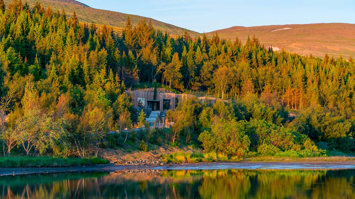 Forest Lagoon, Islande © DR