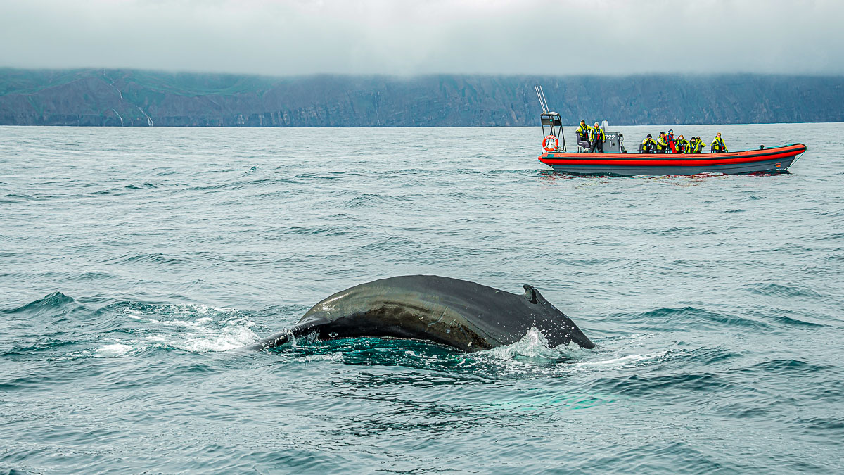 Husavik, Islande © Shutterstock