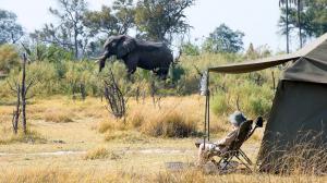 Safari itinérant au Botswana © Andbeyond