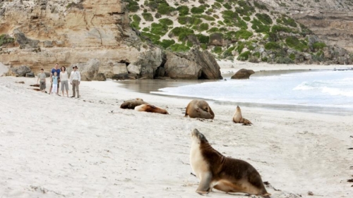 © Southern Ocean Lodge, Kangaroo Island, Australie