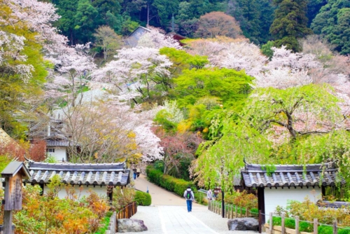 japon sstock 002