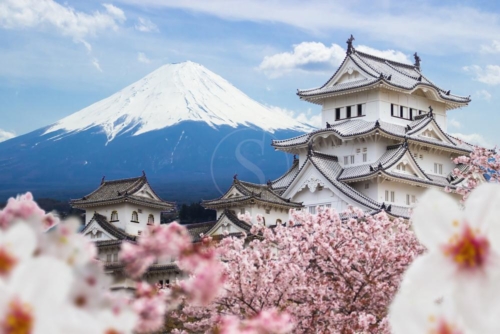 japon sstock 004