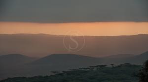 tanzanie asilia the highlands 003