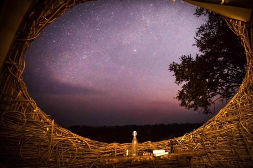 Chisa Busanga, Zambie © Green Safaris