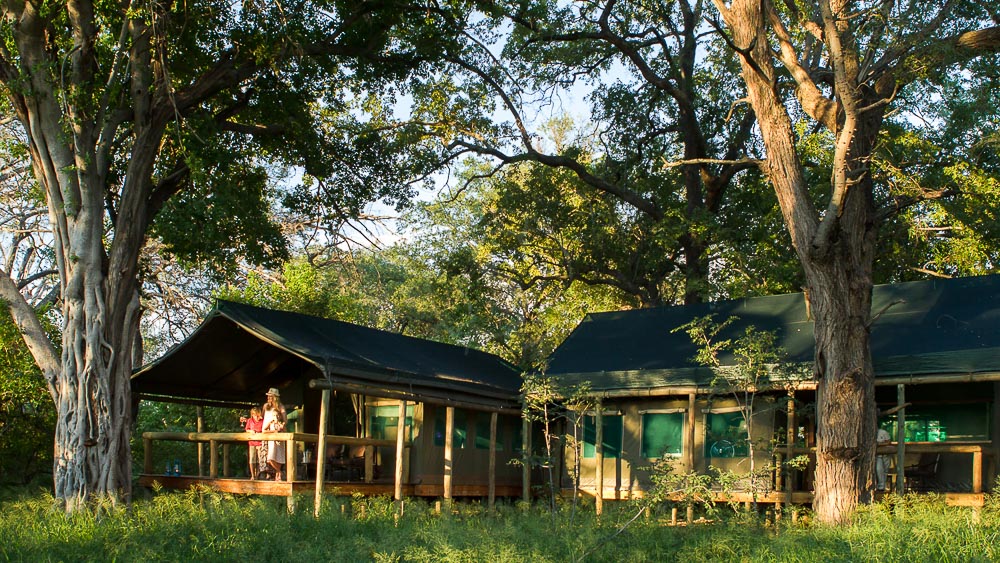 Camp Moremi, Botswana