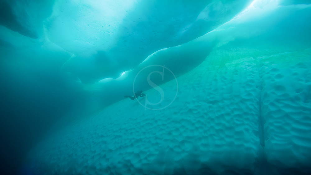 Plongées sous glaces sur Baffin Island, Canada © Fernando Garcia