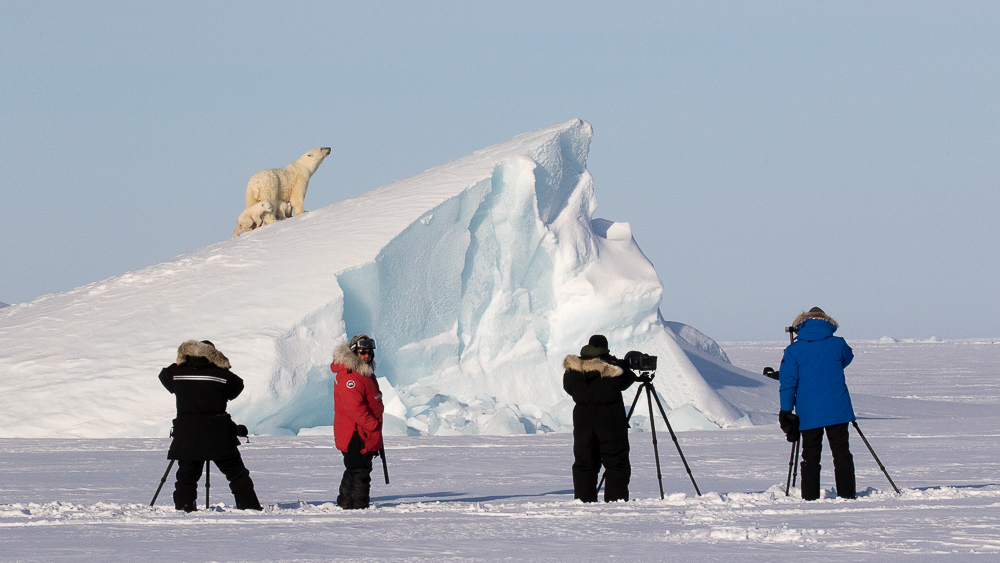 Expédition sur la Terre de Baffin © Dave Briggs