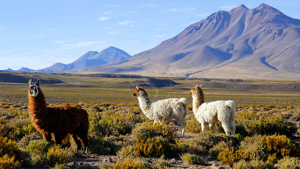 Le Licancabur, Atacama, Chili © Alain Pons