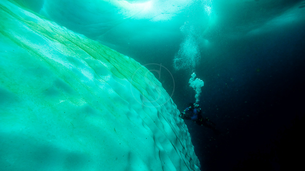 Plongées sous glaces sur Baffin Island, Canada © Fernando Garcia