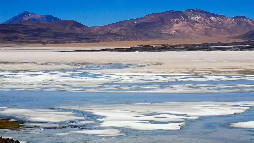 Désert de l'Atacama, Chili © Alain Pons