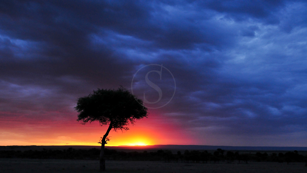 Safari au Kenya © Sonia Rousseau