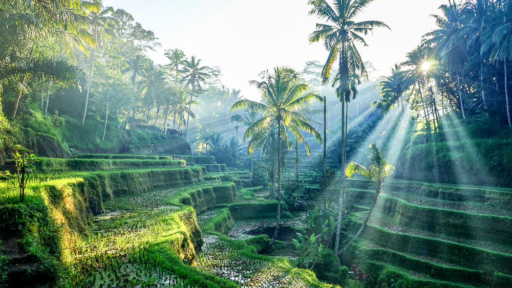 Région de Ubud, Bali, Indonésie