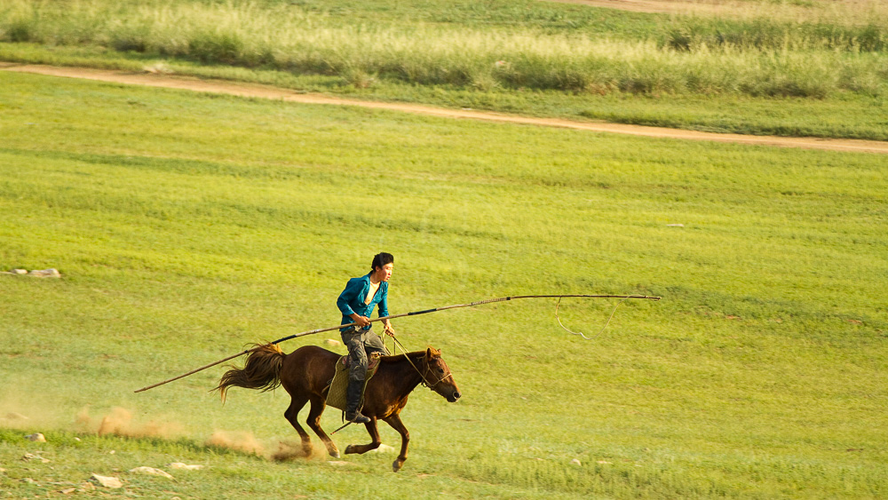 Ambiance de la steppe mongole, Mongolie