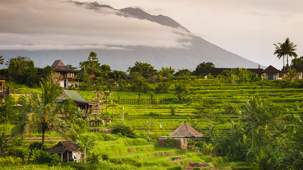 Région de Sidemen, Bali, Indonésie