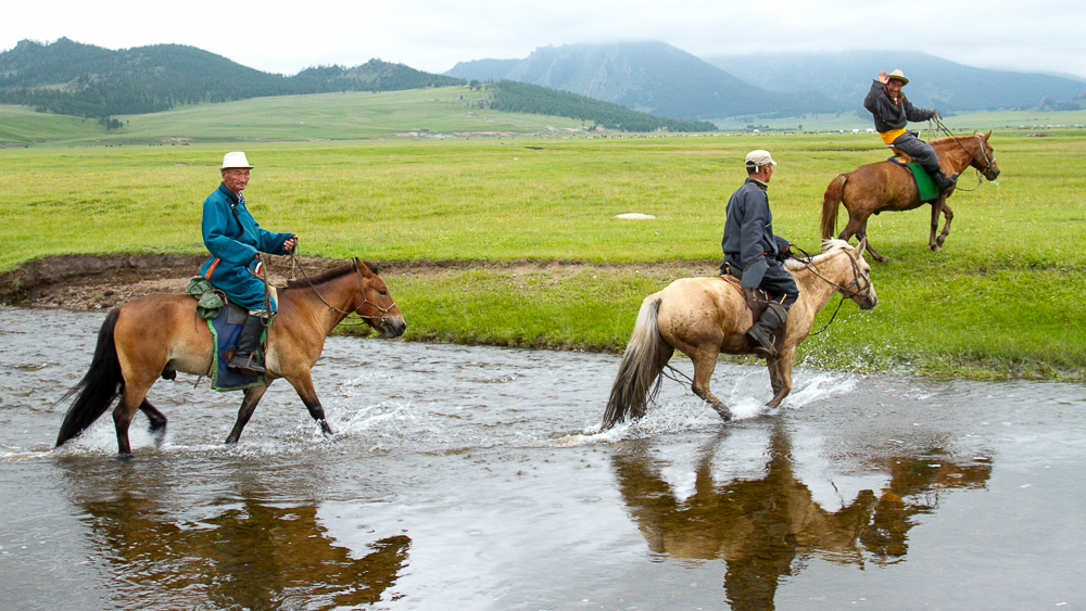 Randonnée à cheval, Mongolie