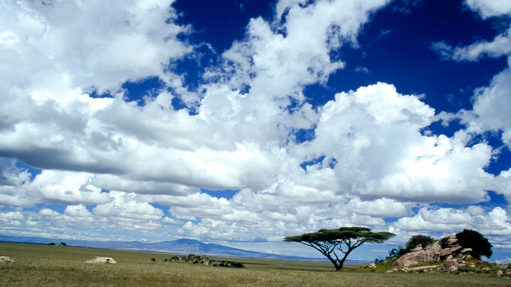 Safari vers Olduvai, Tanzanie
